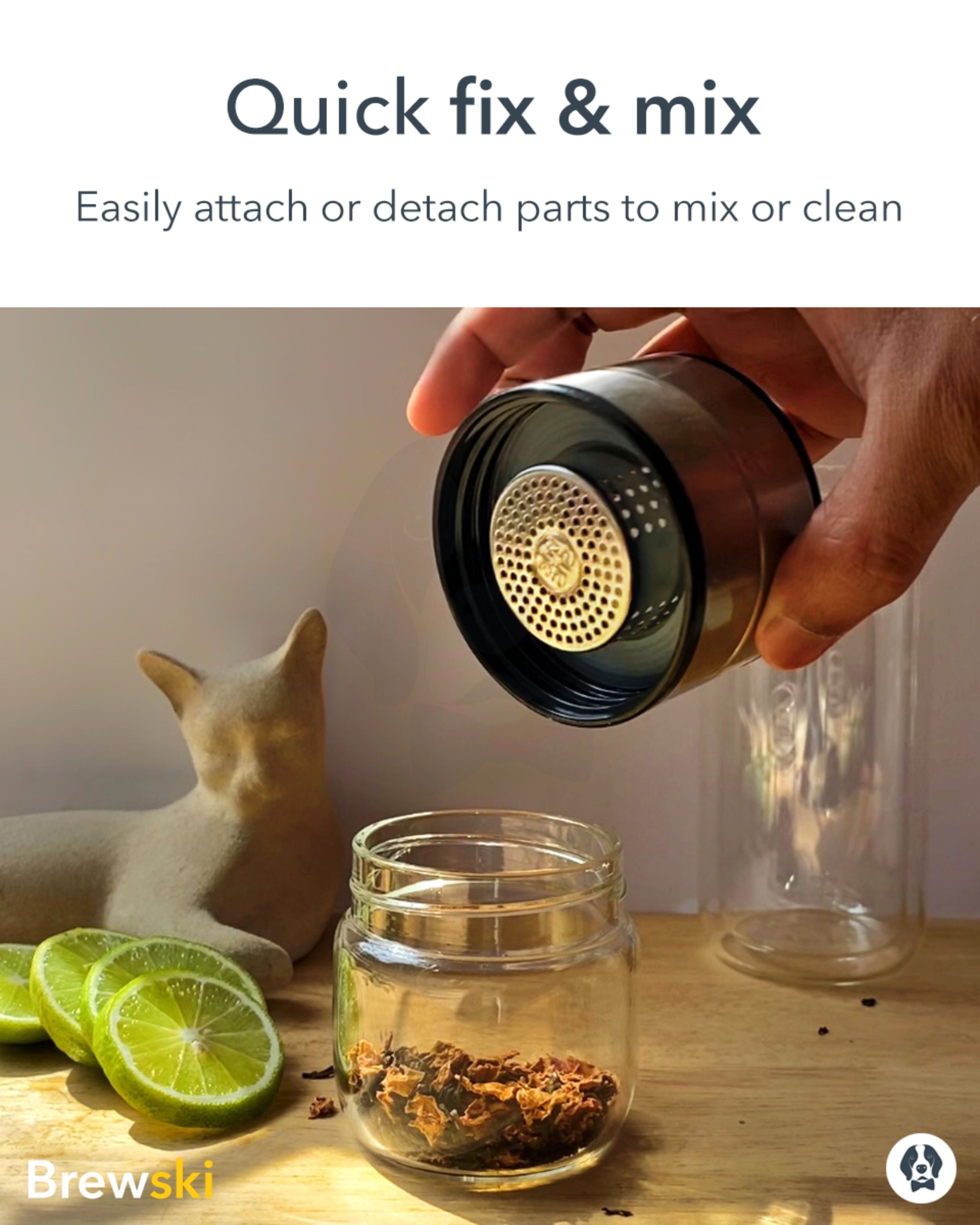 Brewski Shaker Infuser 300 ml Drink Mixer Easy to Use Quick Fix and Mix