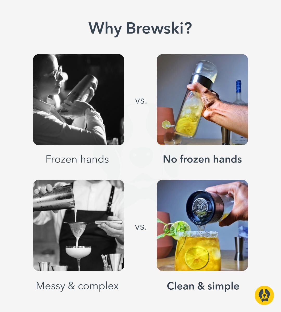 Brewski Shaker Infuser 300 ml Features