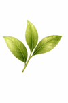 Matcha Mood Candle image