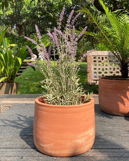 Plantadora (small) planter pot