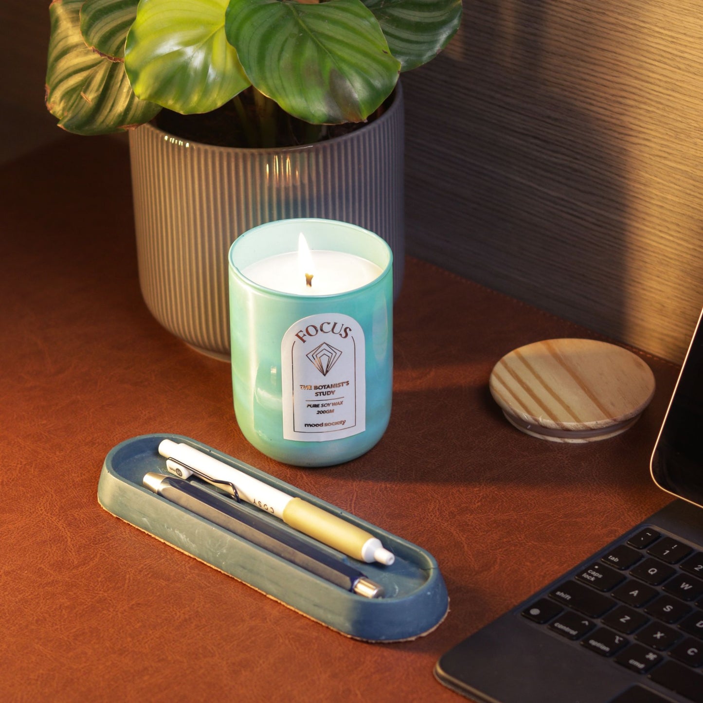Focus Scented Candle