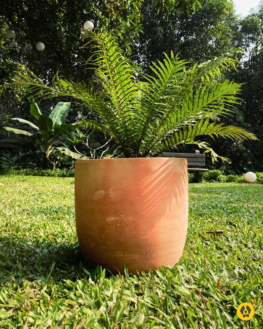Plantadora (Large) planter pot